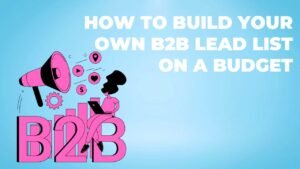 How To Build Your Own B2B Lead List On A Budget