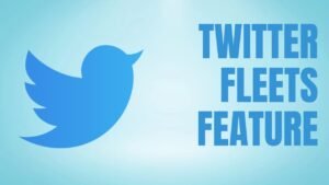 TWITTER FLEETS FEATURE